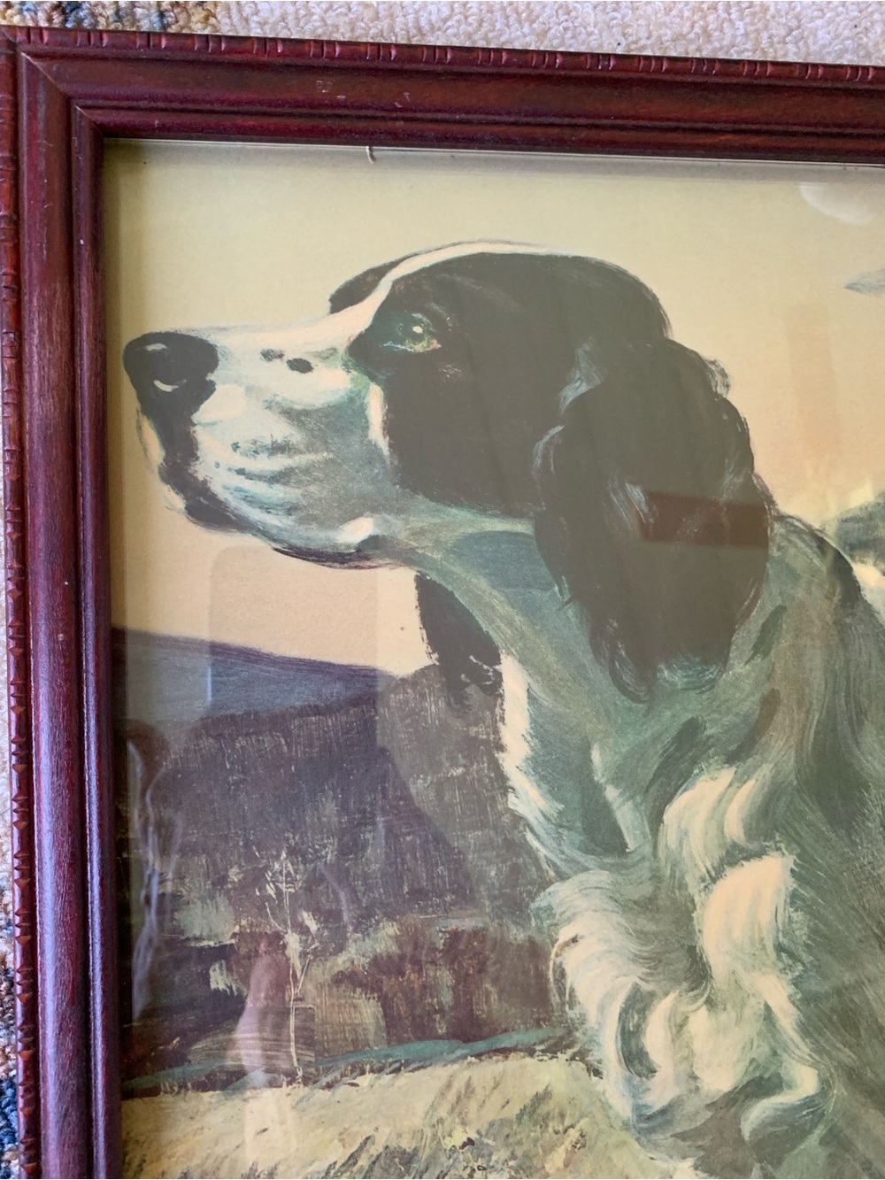 Original VTG Print By Churchill Ettinger “English Setter” Sporting Breed Dog Art
